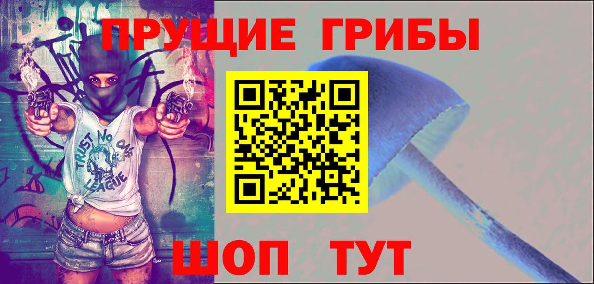 Лесозаводск  Псилоцибиновые грибы MAGIC MUSHROOMS  где купить наркоту  Вход с VPN 